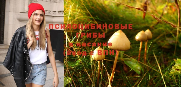 мескалин Каменногорск